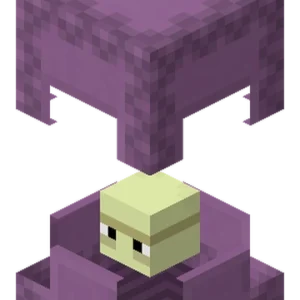 2x Shulker Box – Fialová